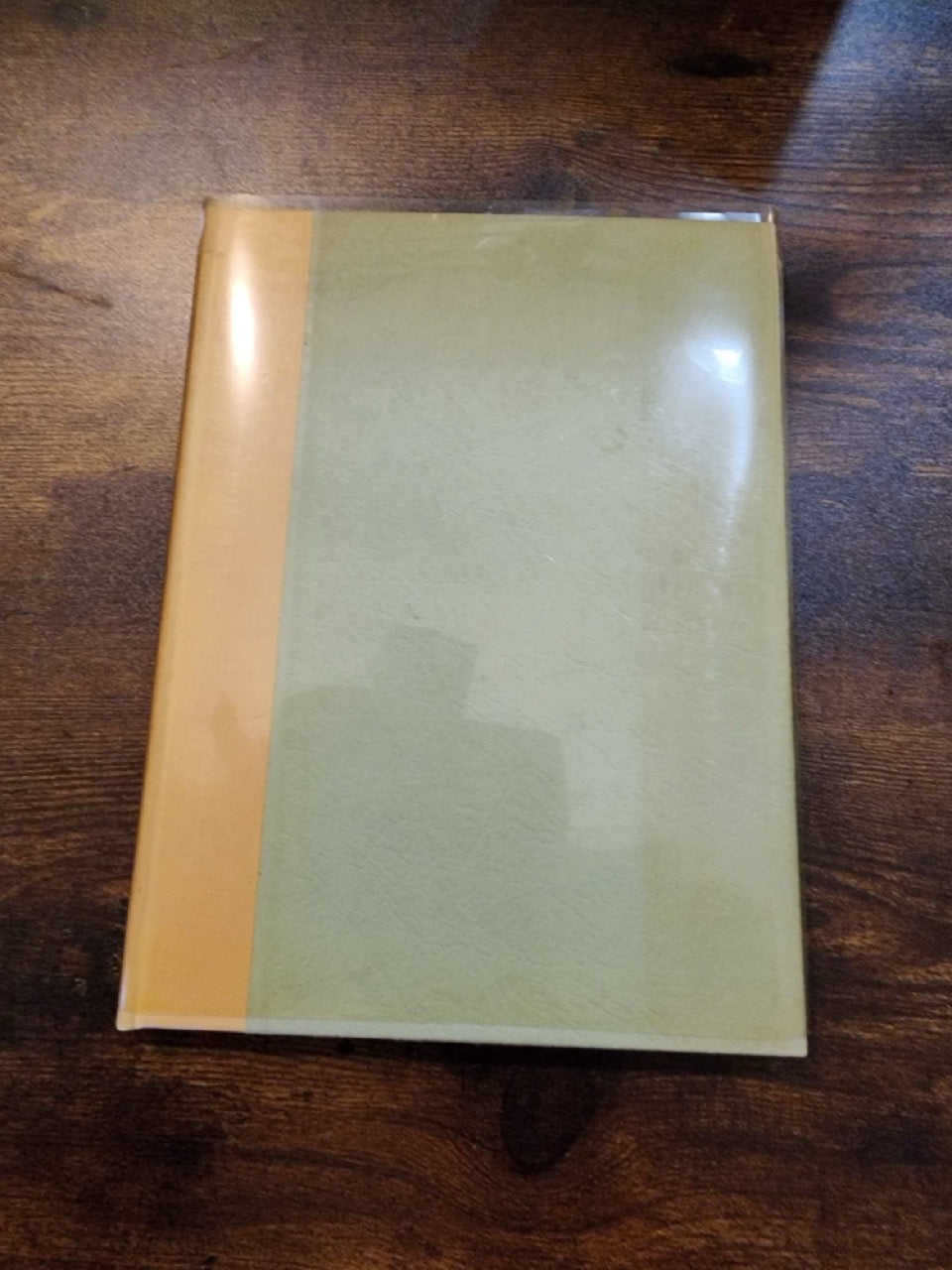 A Bibliography of Books on Conjuring in English from 1580 to 1850 - Trevor H. Hall