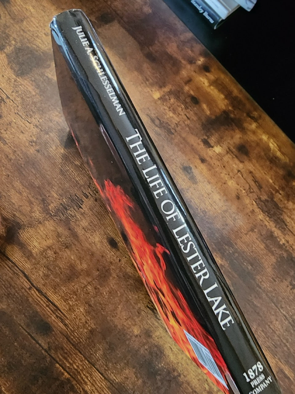 Buried Alive Every Afternoon Burned Alive Every Evening, The Life of Lester Lake - Julie A. Schlesselman