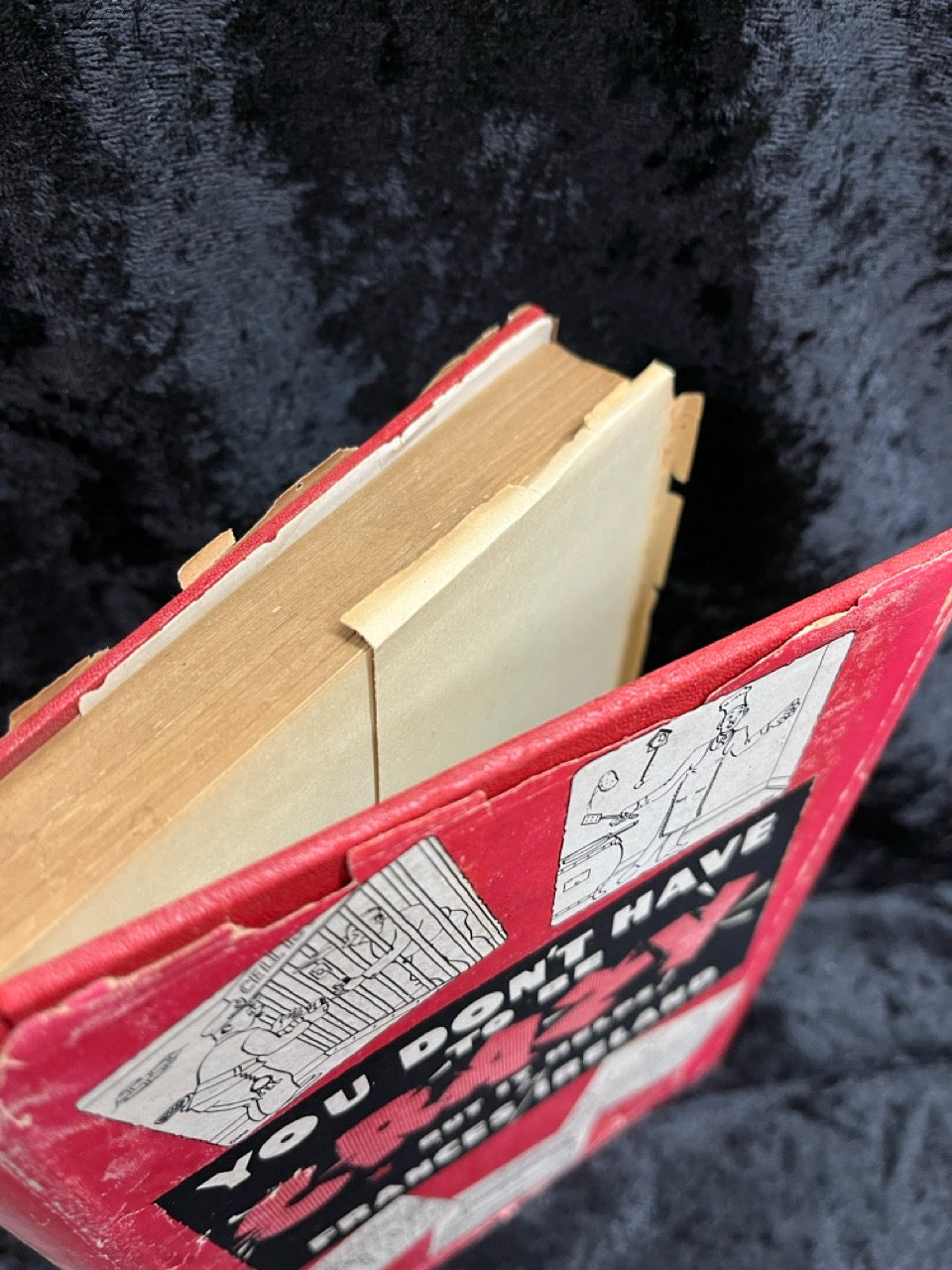 You Don't Have To Be Crazy - But It Helps! - Frances Ireland - SIGNED