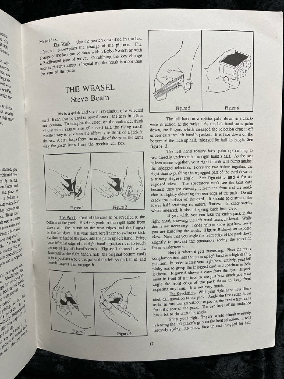 Spoof...It's Magic - Ronald Dayton