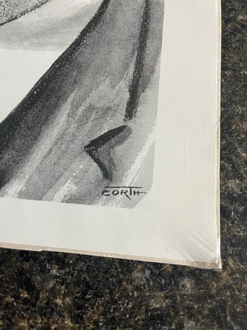 Houdini Print - Corth (SM4)
