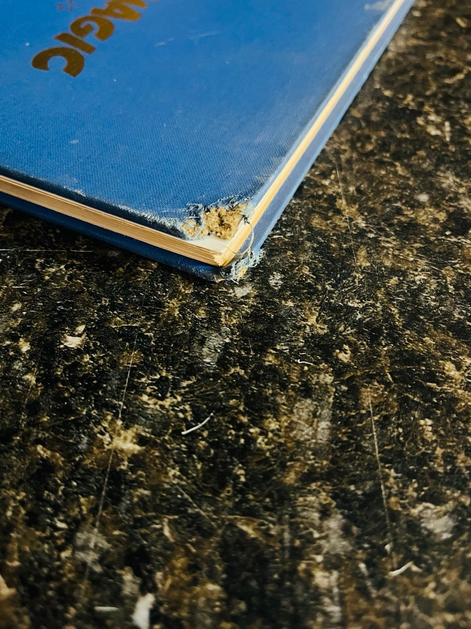 Stars of Magic - Louis Tannen