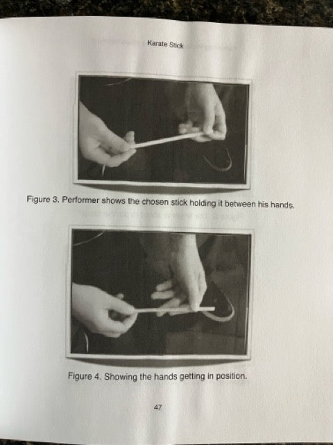 Performing Mentalism for Young Minds, Vol.2 - Paul Romhany