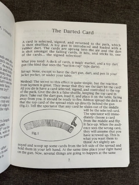 The Lost Cheesy Notebooks Vols. 1 & 2 - Chad Long