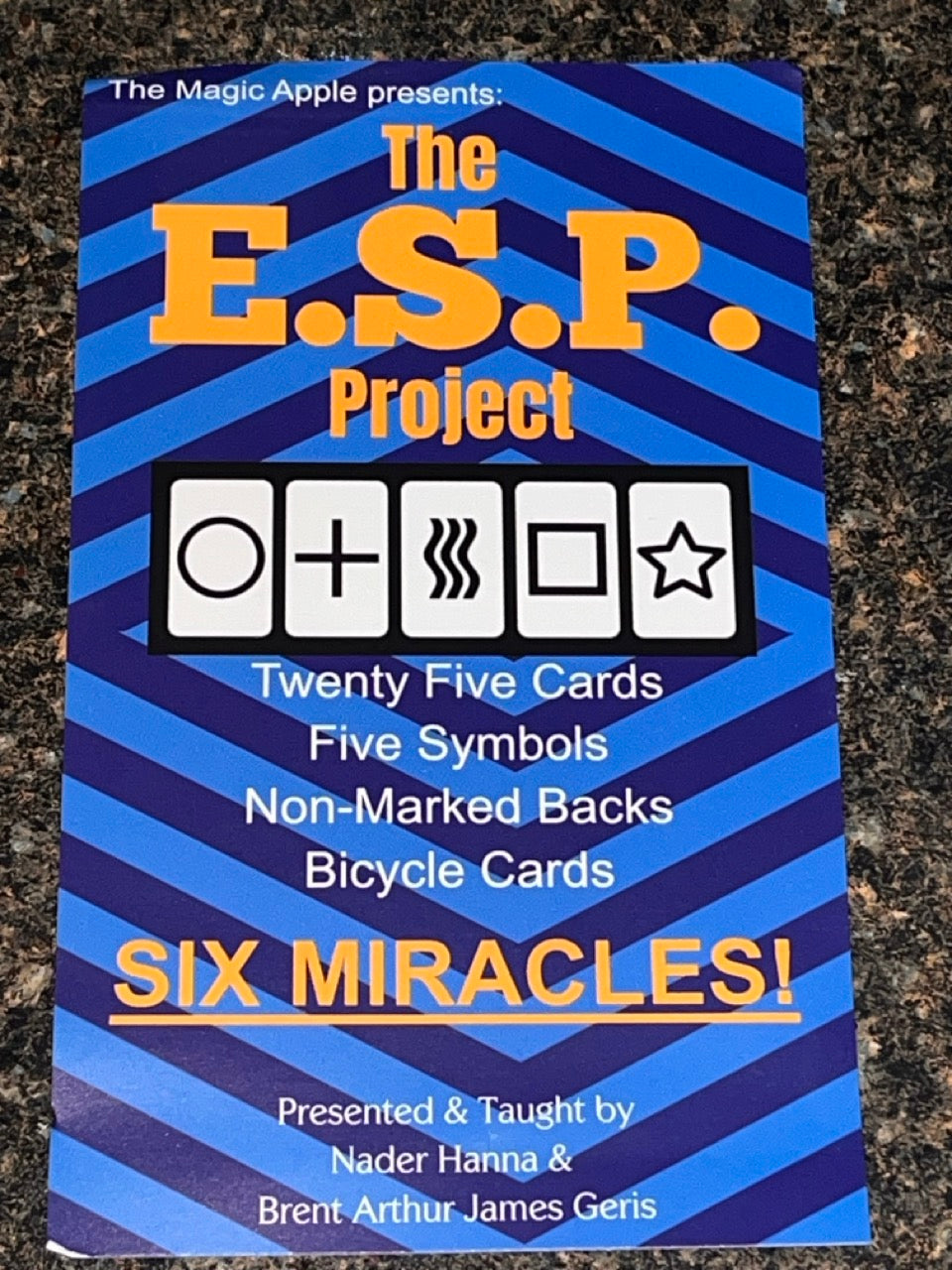 The E.S.P. Project - Nader Hanna & Brent Geris (SM6)