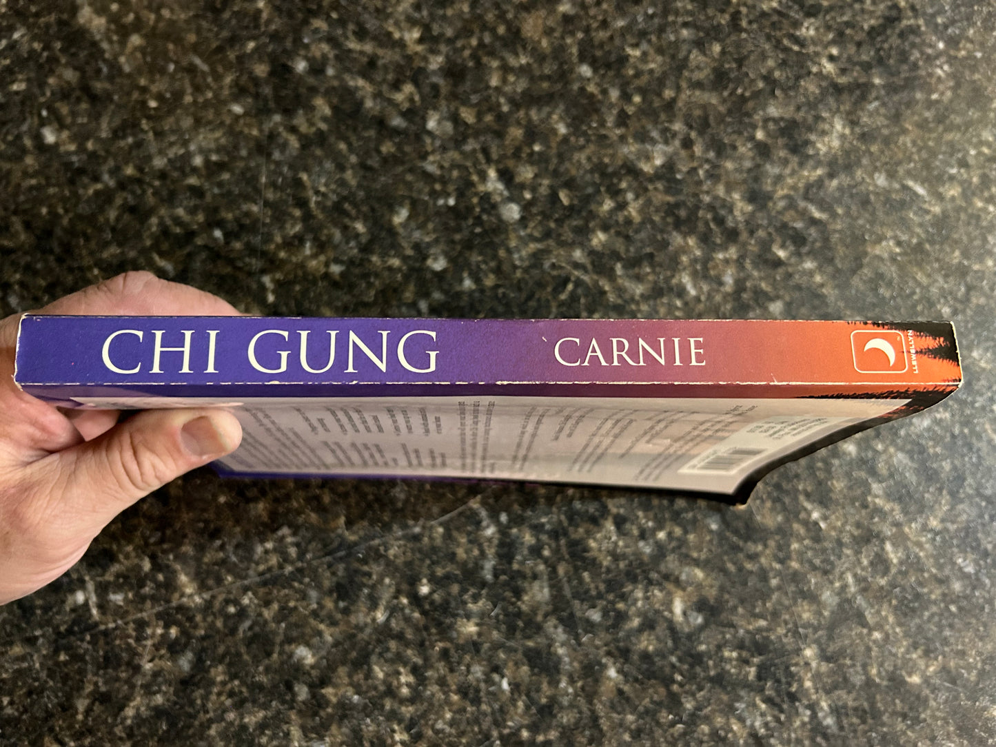 Chi Gung - L.V. Carnie