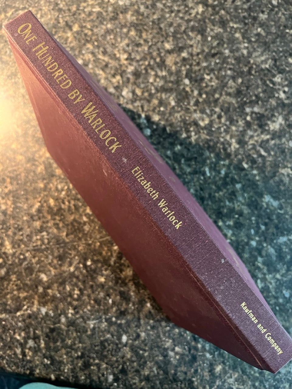 One Hundred by Warlock - Elizabeth Warlock