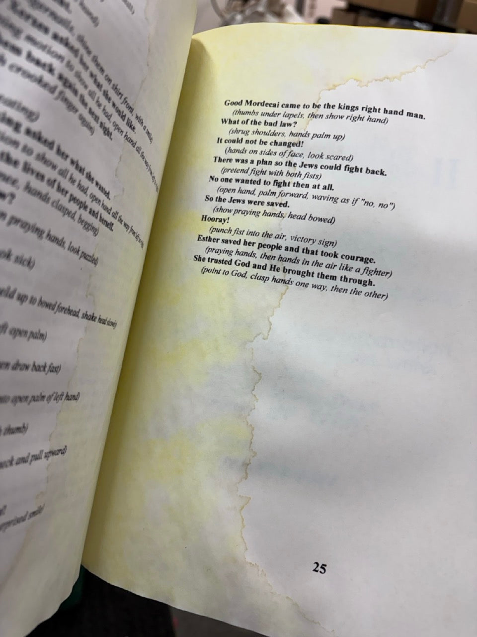 Copy Cats/ Copy Cats 2 - Linda Schiss