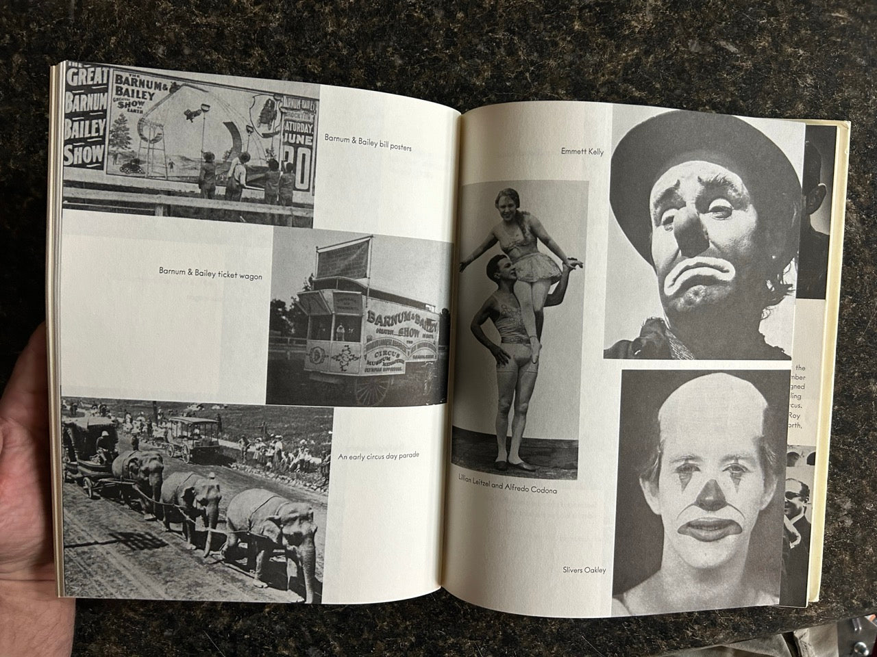 The Circus: Lure & Legend - Mildred Sandison Fenner & Wolcott Fenner