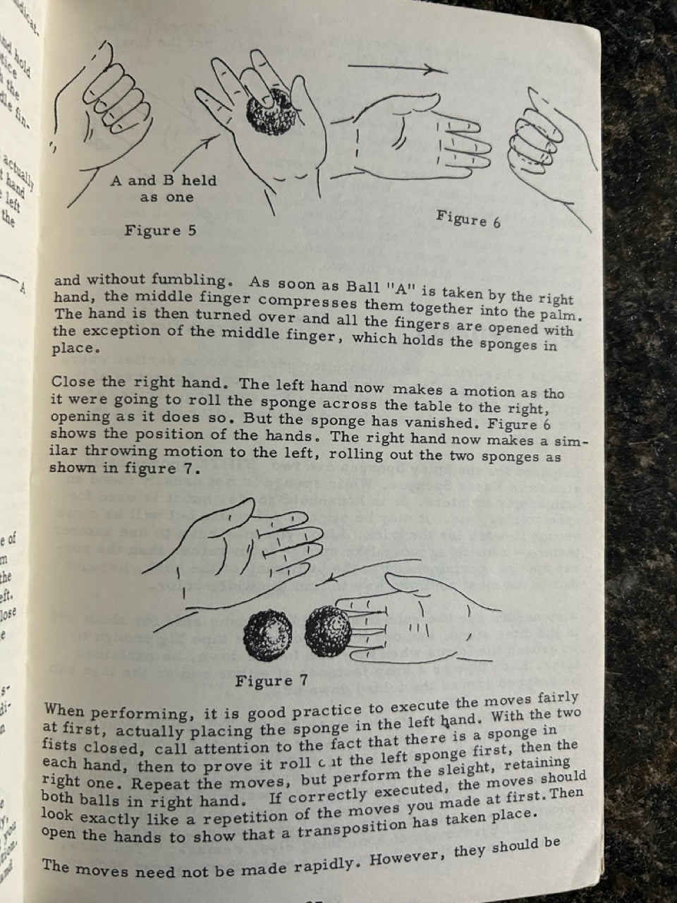 The Sponge Book - Frances Marshall