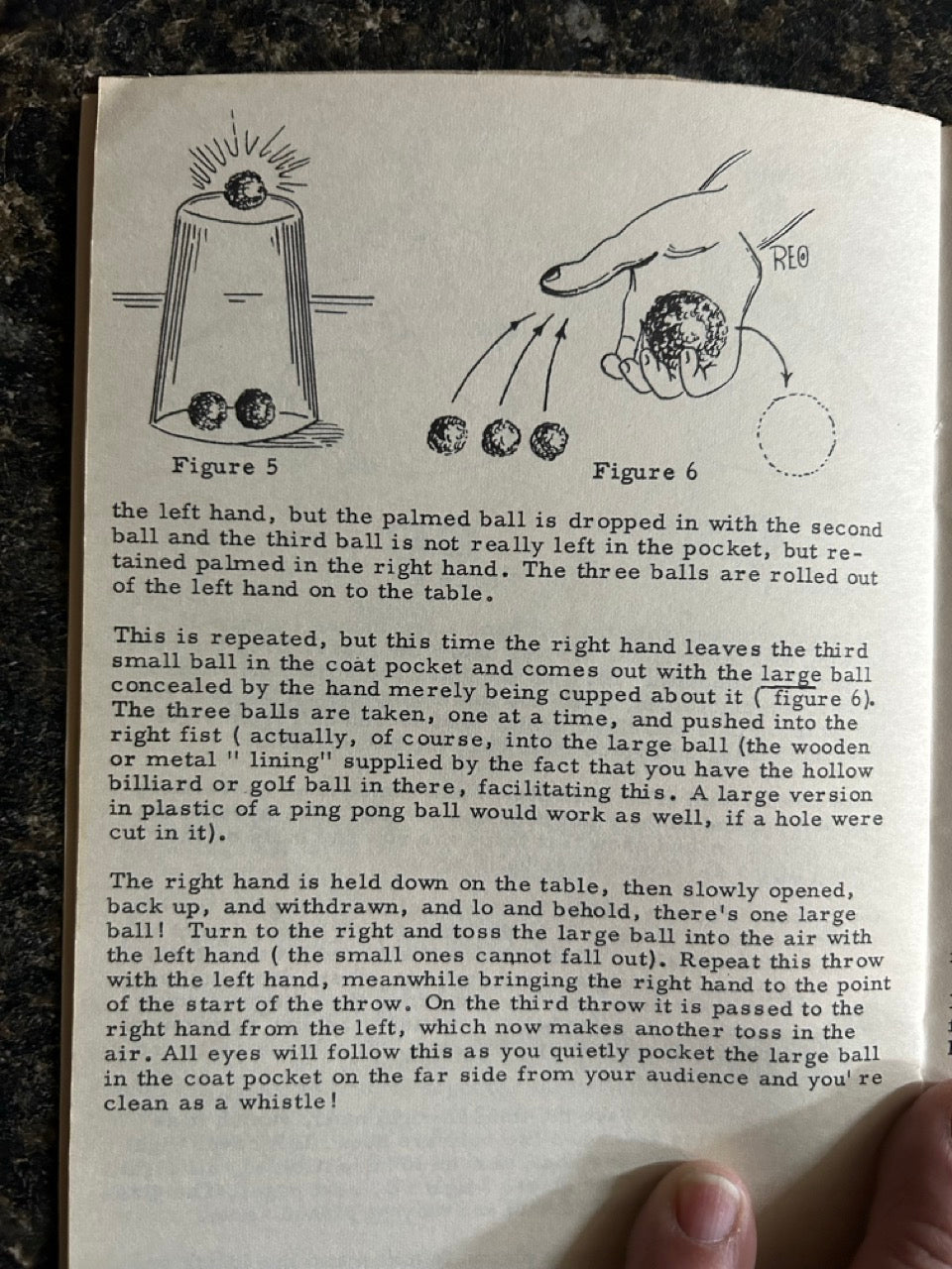 The Sponge Book - Frances Marshall