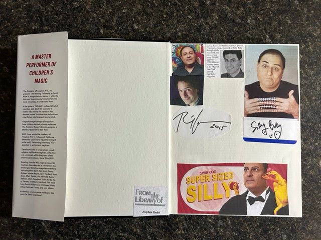 Super Sized Silly - David Kaye