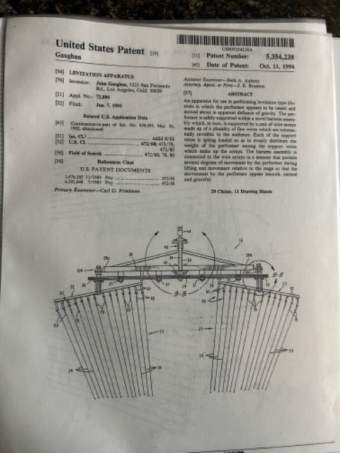 Flying (Patent Papers) - John Gaughan