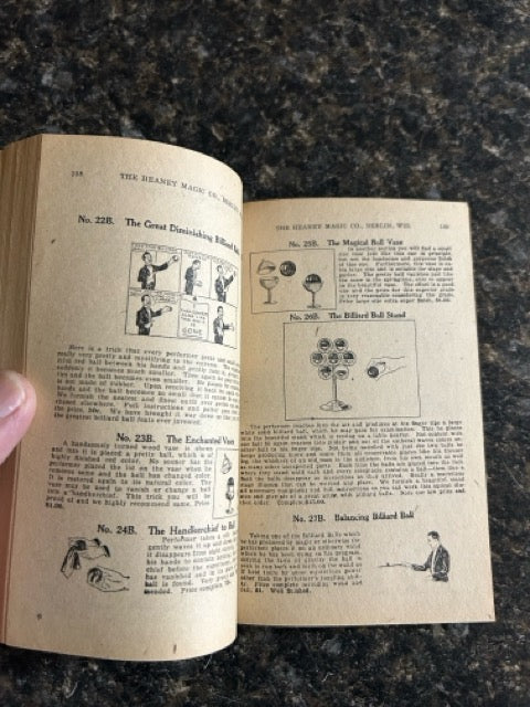 Heaney's Professional Catalog of Wonders #25