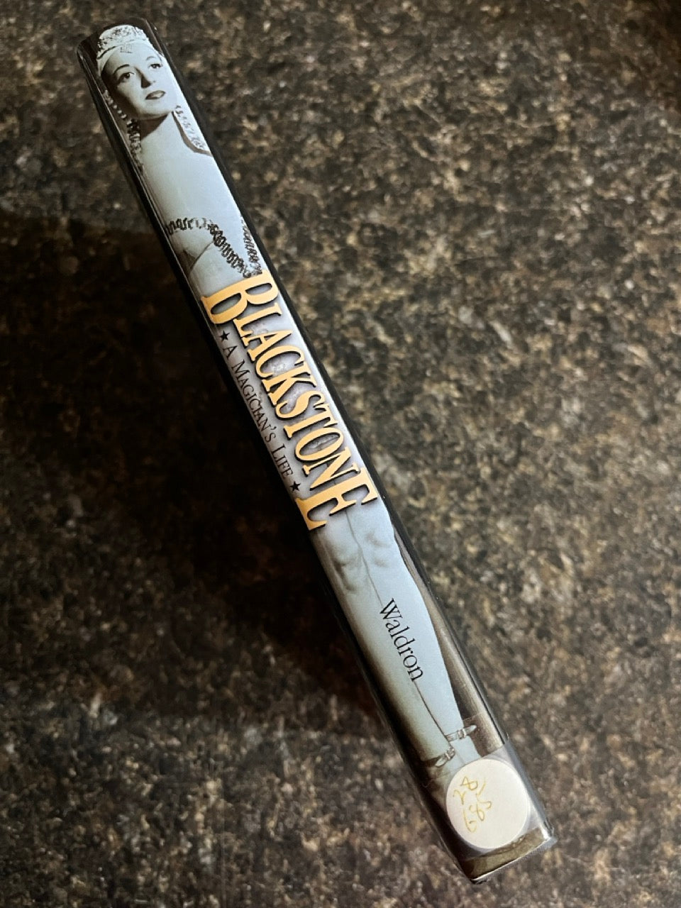 Blackstone: A Magician's Life - Daniel Waldron (USED)