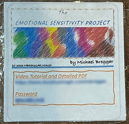 The Emotional Sensitivity Project - Michael Breggar (SM6)
