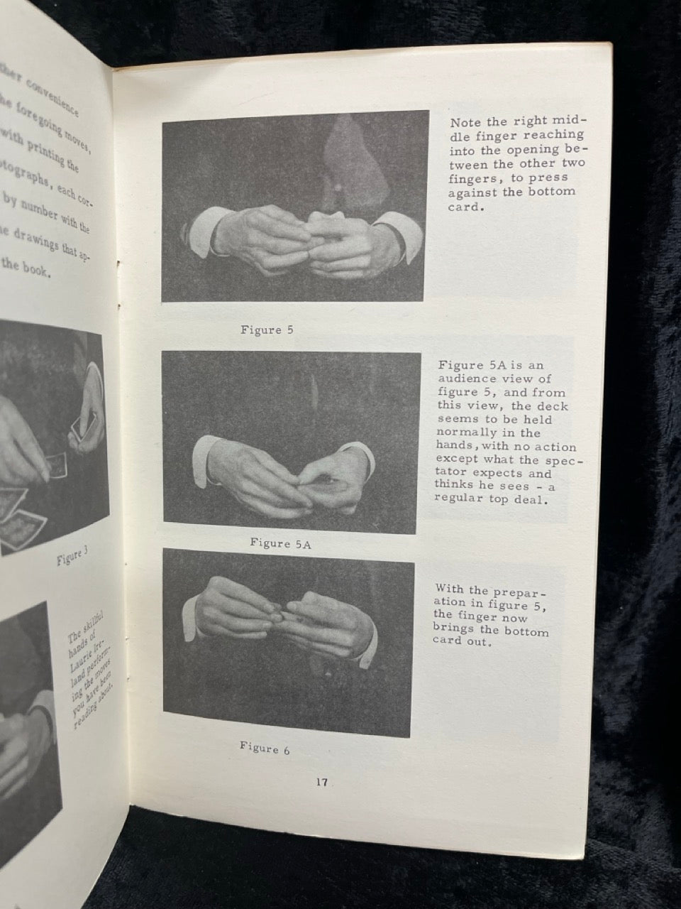 Laurie Ireland's Lessons in Dishonesty