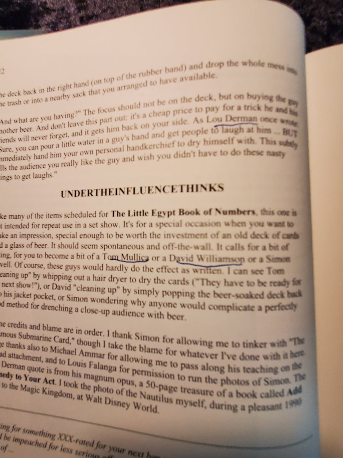 The Little Egypt Book of Numbers - Steve Bryant