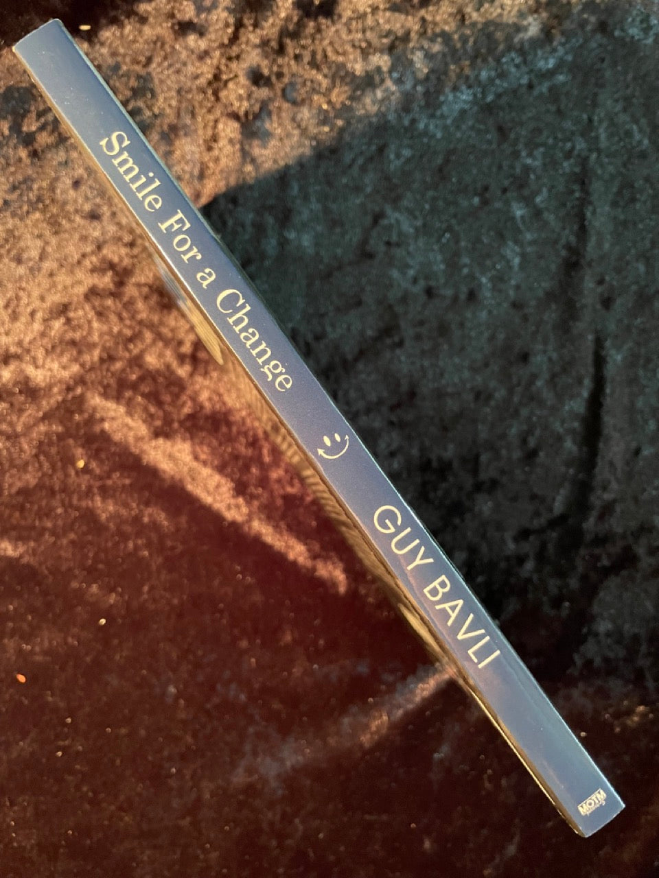 Smile for a Change - Guy Bavli