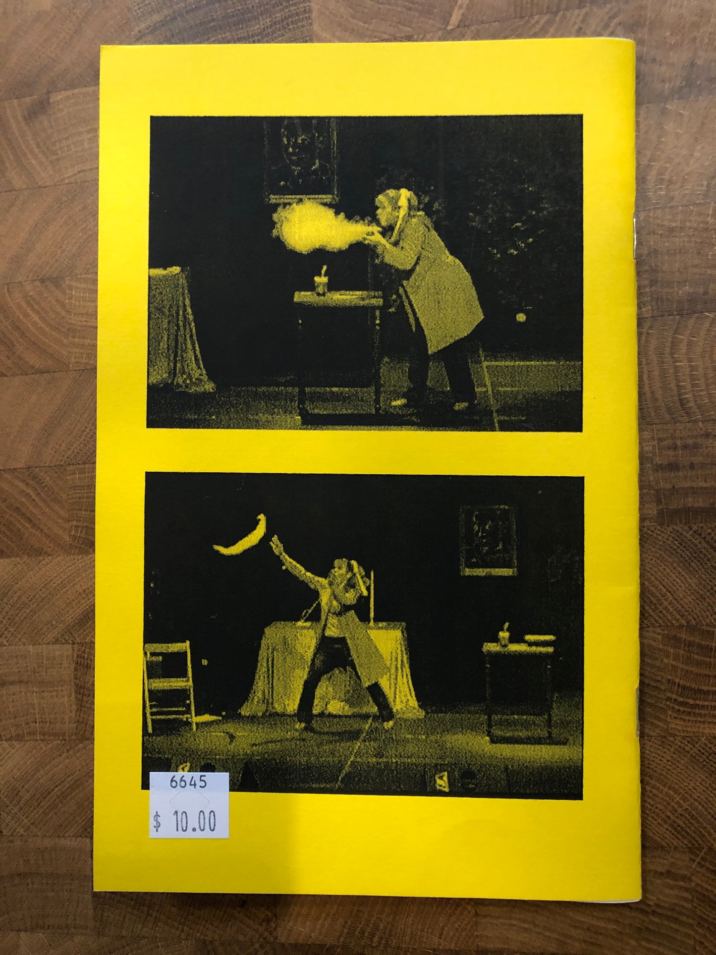 Have you ever thought about School Tours? A Guidebook for potential performers - Sue-Anne Webster