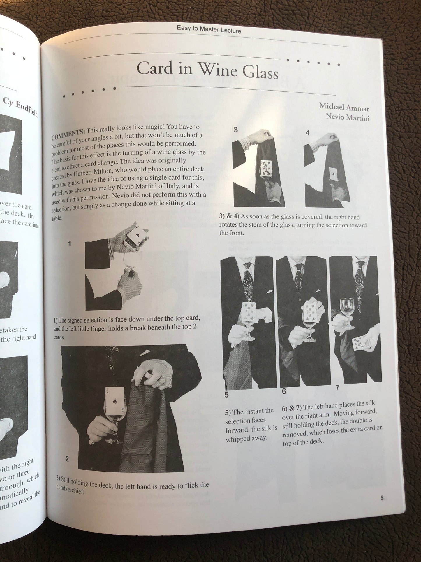 Michael Ammar "Easy To Master" Lecture Notes