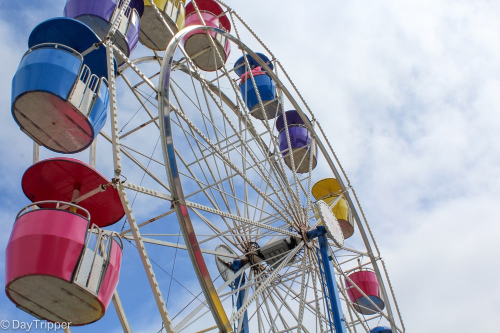 It's Fair Season at Don's Magic & Books