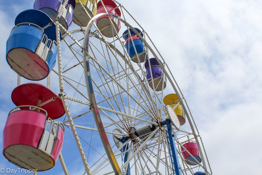 It's Fair Season at Don's Magic & Books
