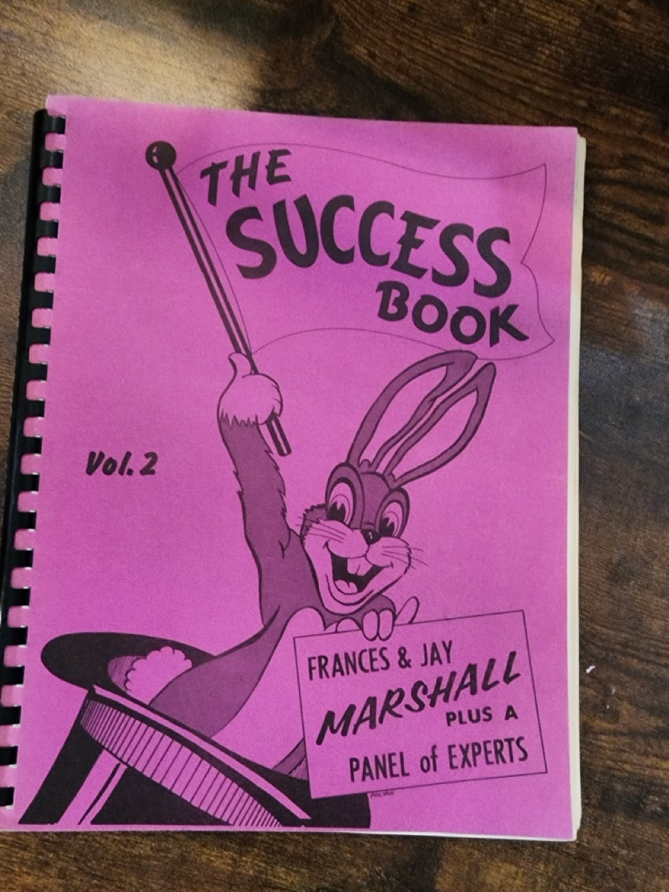 The Success Book Vol. 2 - Frances & Jay Marshall