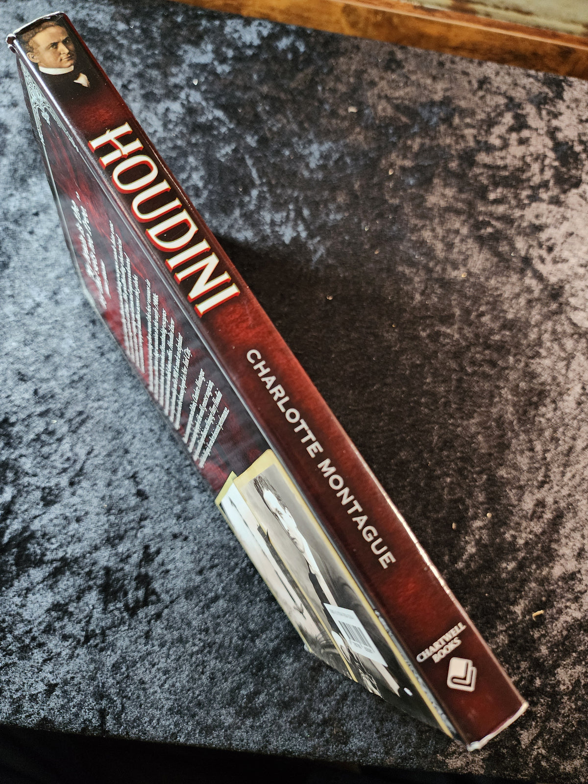 Houdini: The Life & Times of the World's Greatest Magician - Charlotte Montague