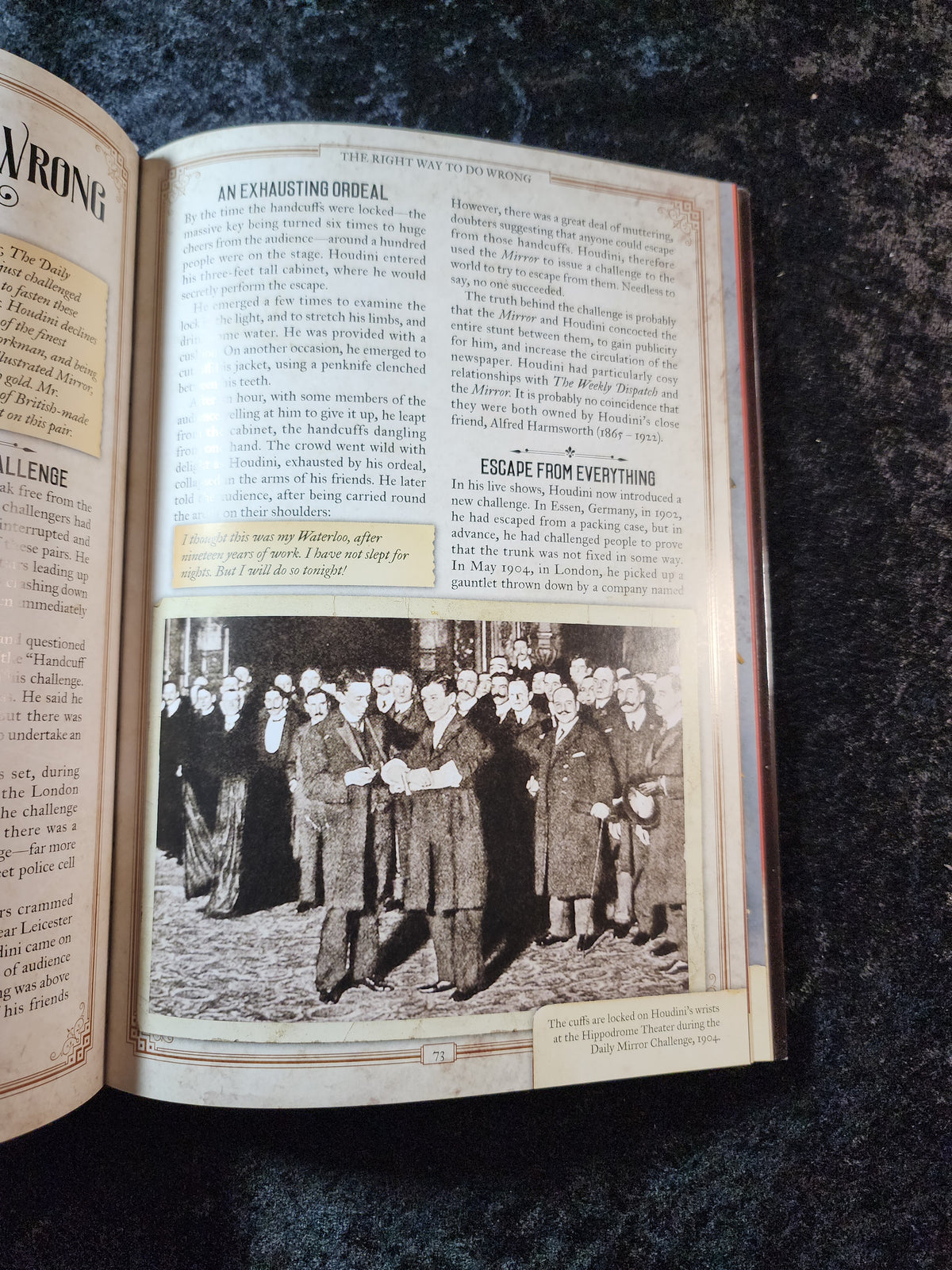 Houdini: The Life & Times of the World's Greatest Magician - Charlotte Montague