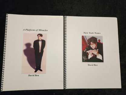 2 Sets of David Ben Lecture Notes