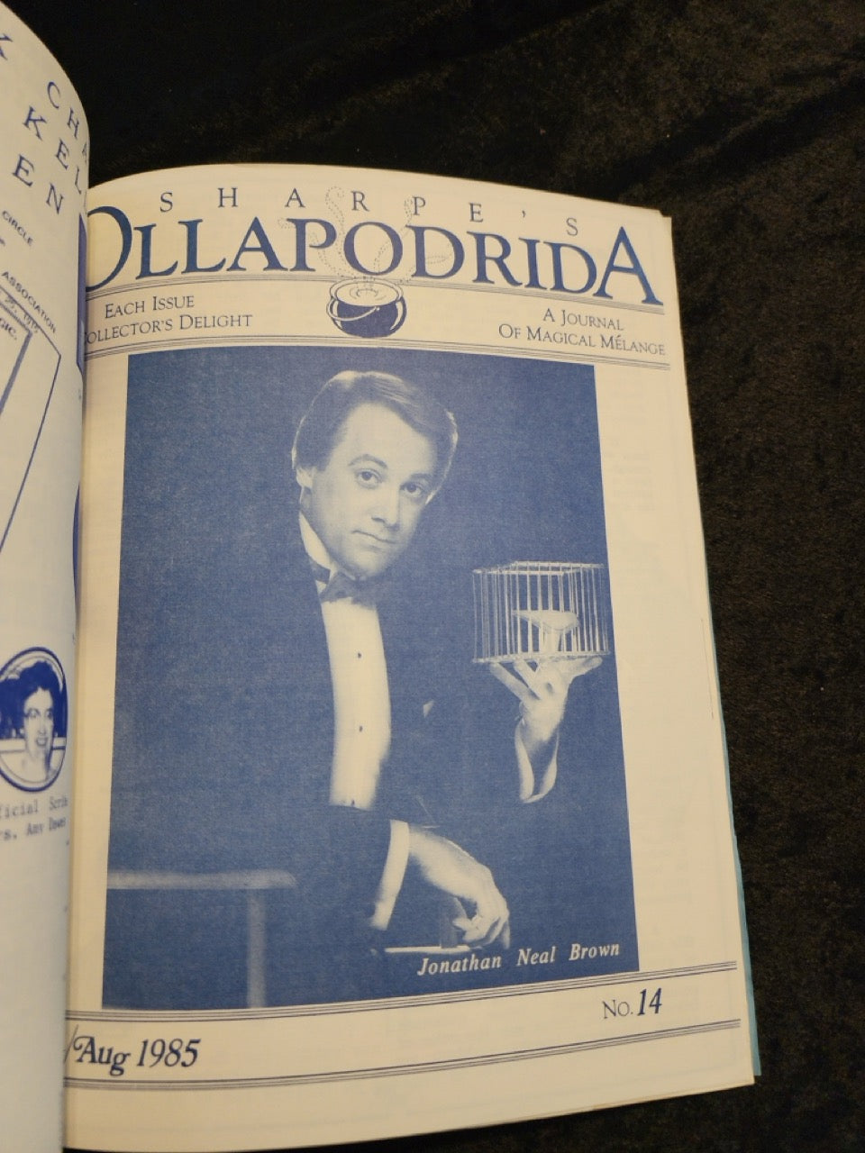 Ollapodrida: A Journal of Magical Melange - Alton Sharpe