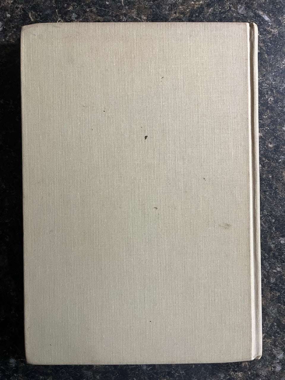Martin's Miracles - Eric C. Lewis (USED Copy)