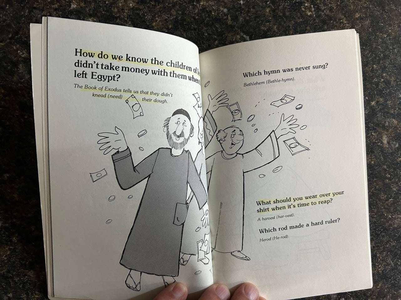 The Second Ark Book of Riddles - Myra Shofner