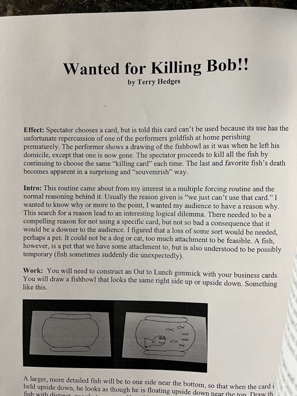 More Than Amazing Lecture Notes - Terry Hedges