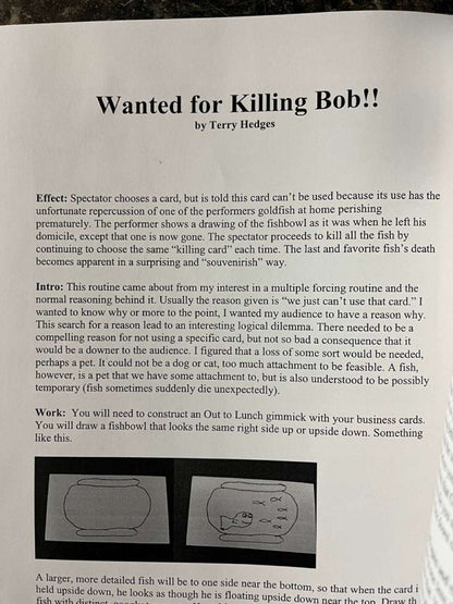 More Than Amazing Lecture Notes - Terry Hedges