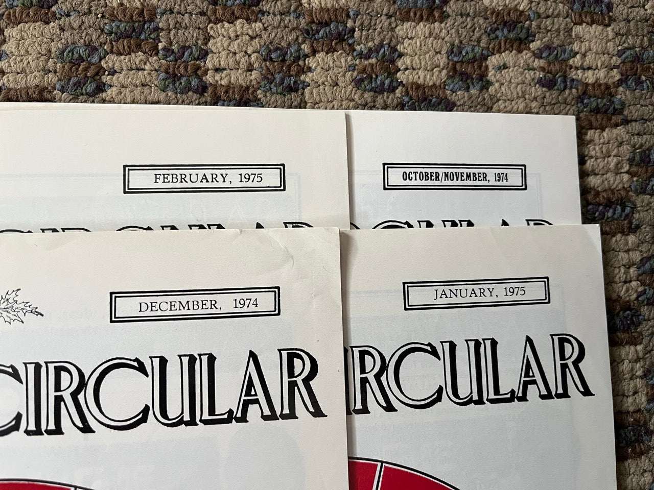 The Magic Circular (4 issues) - Magic Circle
