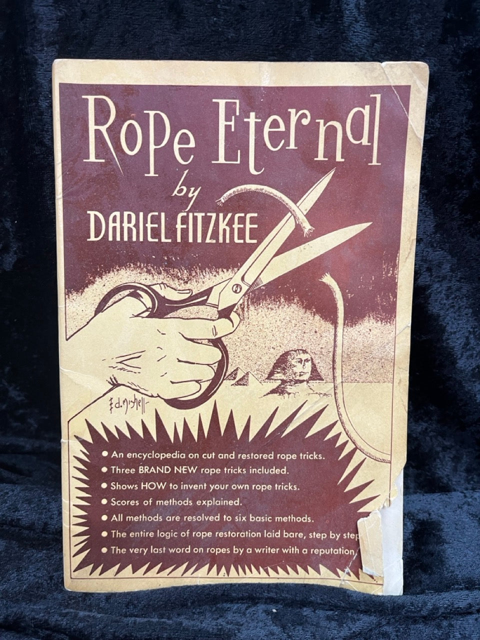 Rope Eternal - Dariel Fitzkee