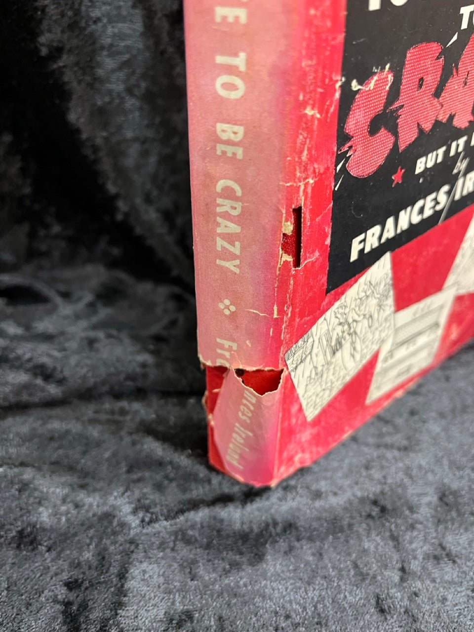 You Don't Have To Be Crazy - But It Helps! - Frances Ireland - SIGNED