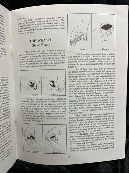 Spoof...It's Magic - Ronald Dayton