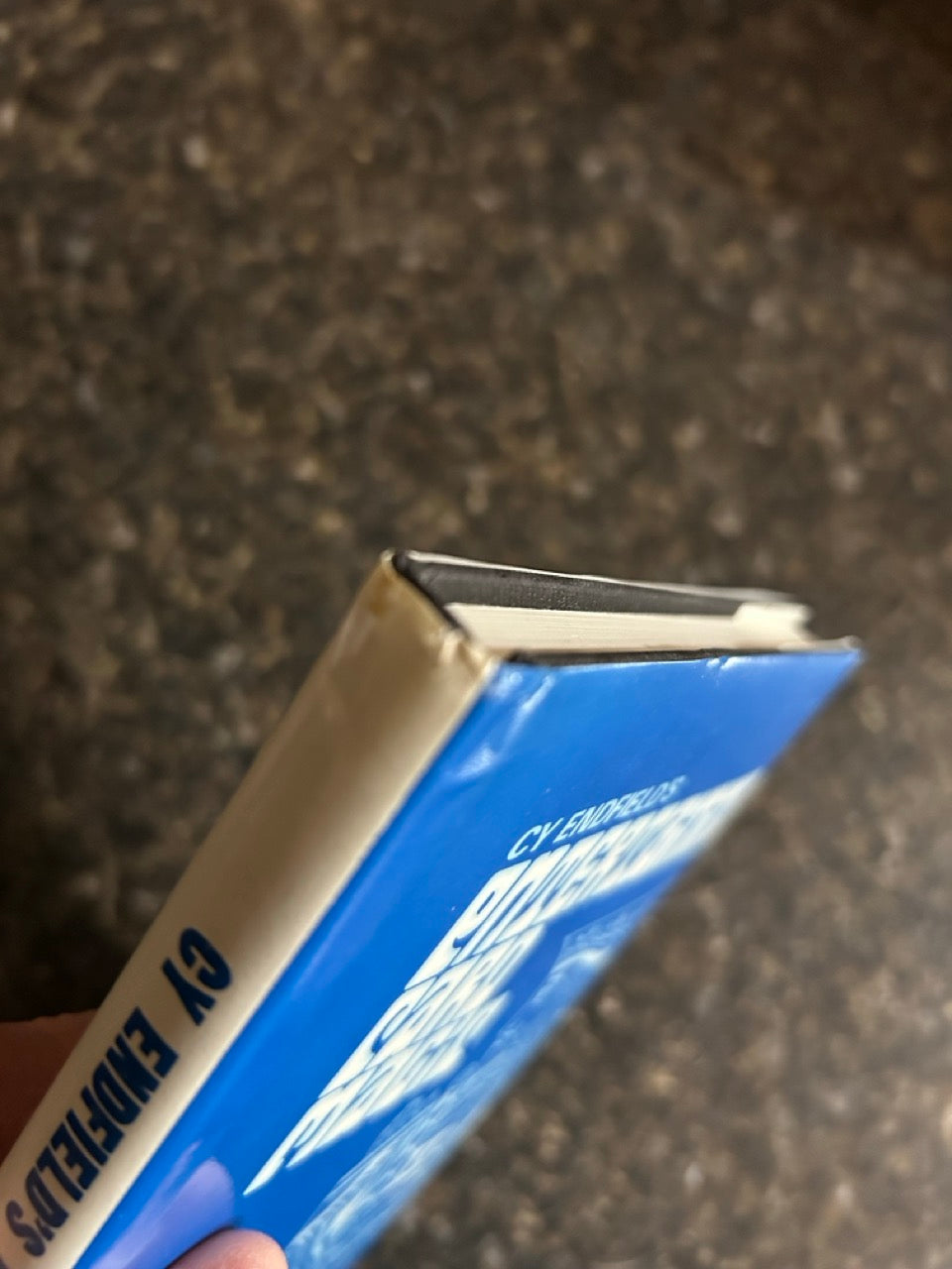 Cy Endfield's Entertaining Card Magic - Lewis Ganson