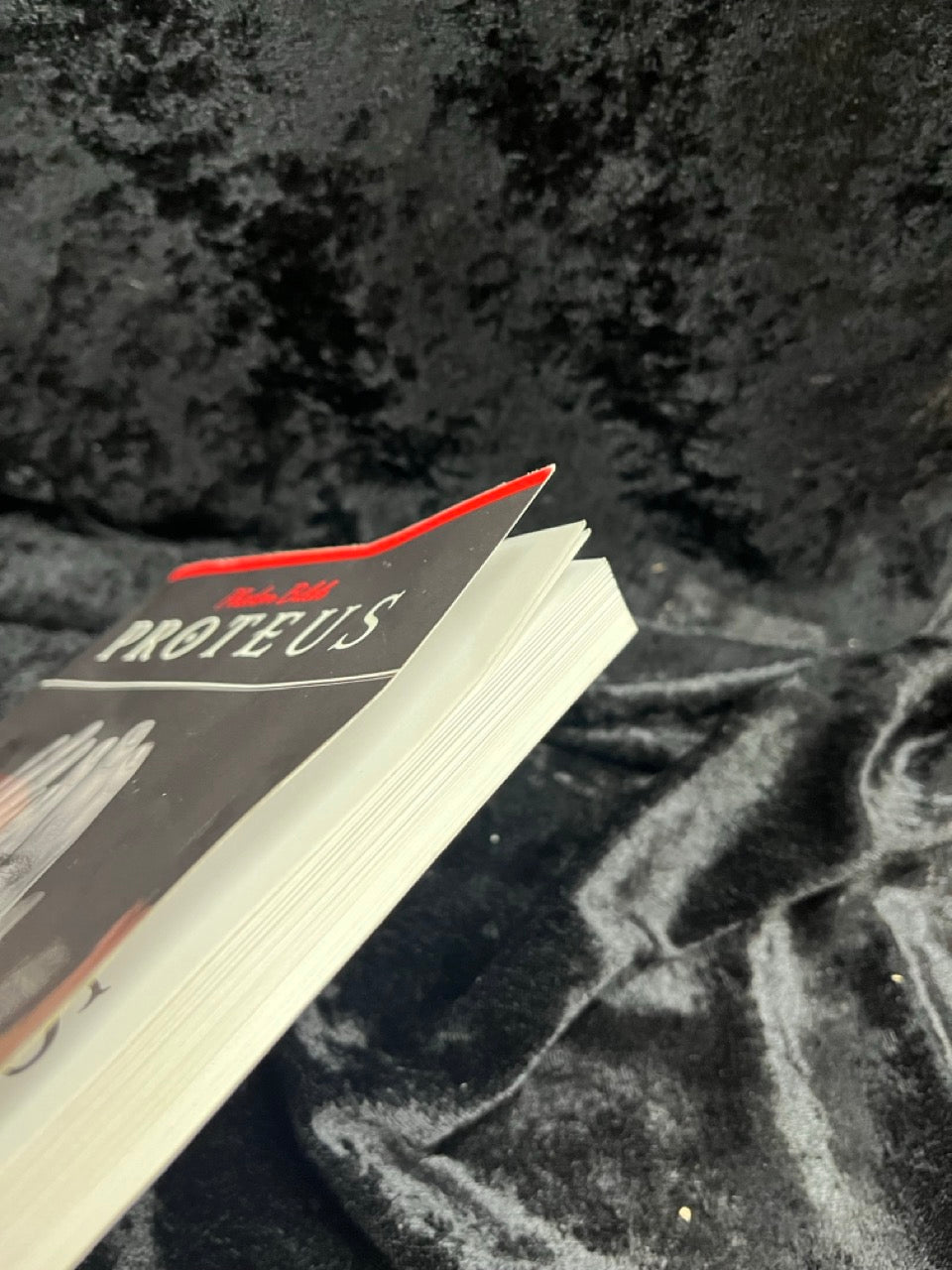 Proteus - Phedon Bilek