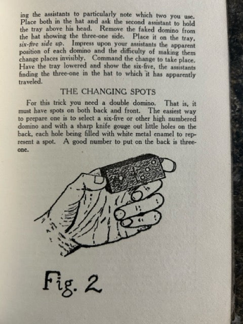 Domino Deceptions - Frederick F. Furman