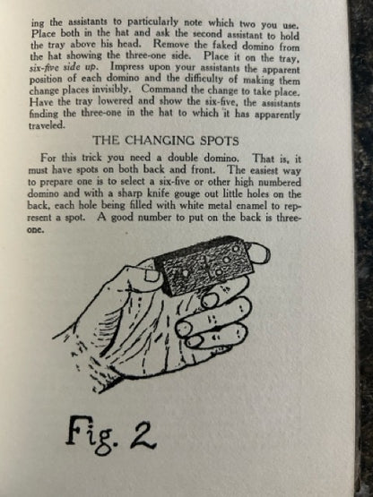 Domino Deceptions - Frederick F. Furman