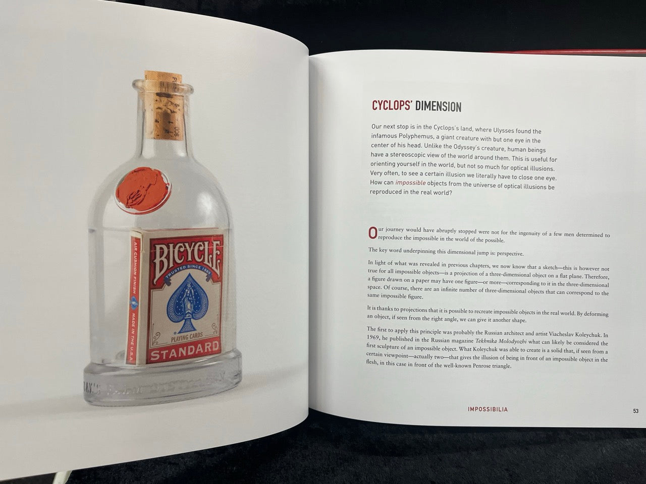 Impossibilia - Davide Fumagalli