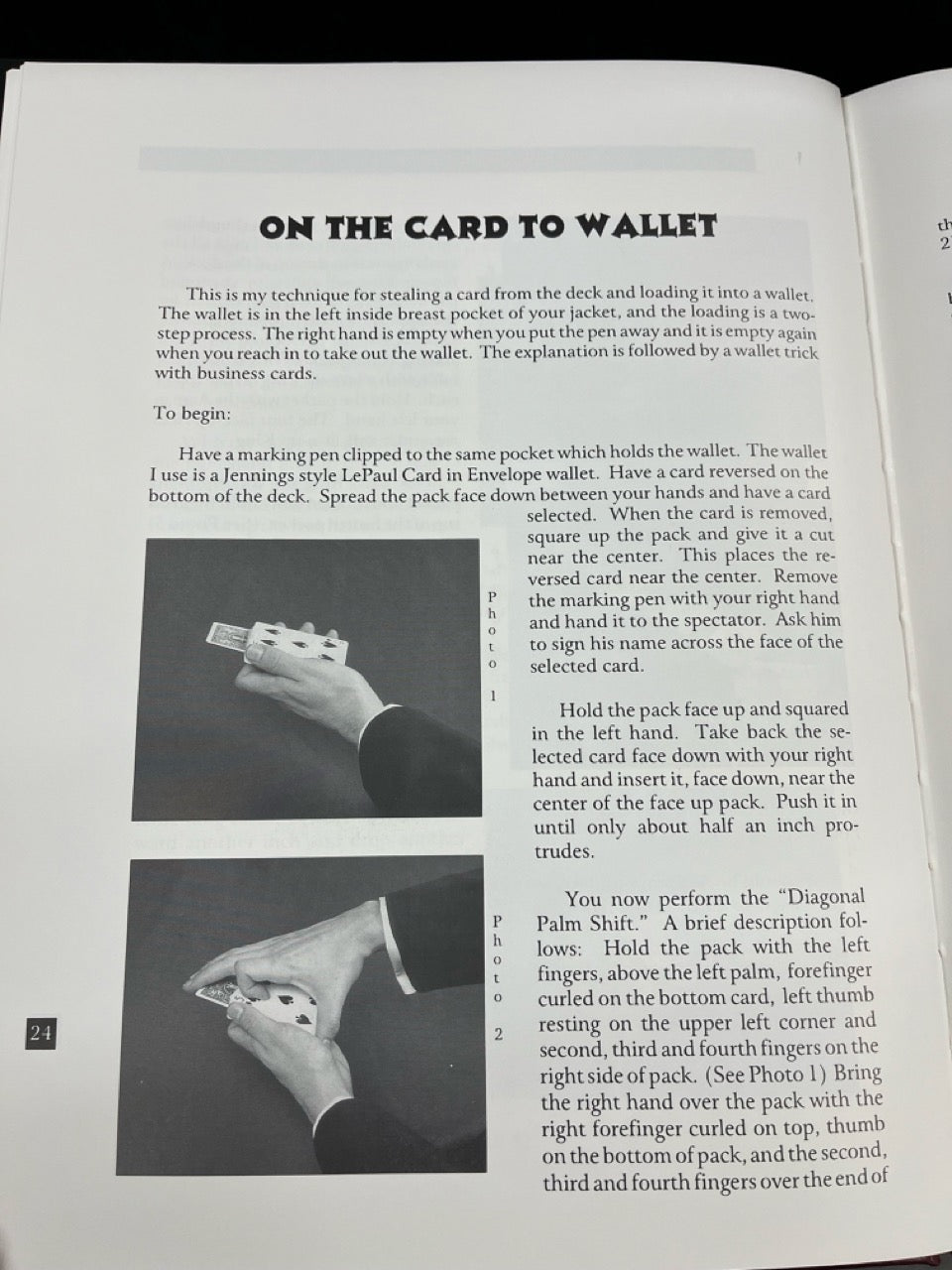 Classic Sampler - Michael Skinner