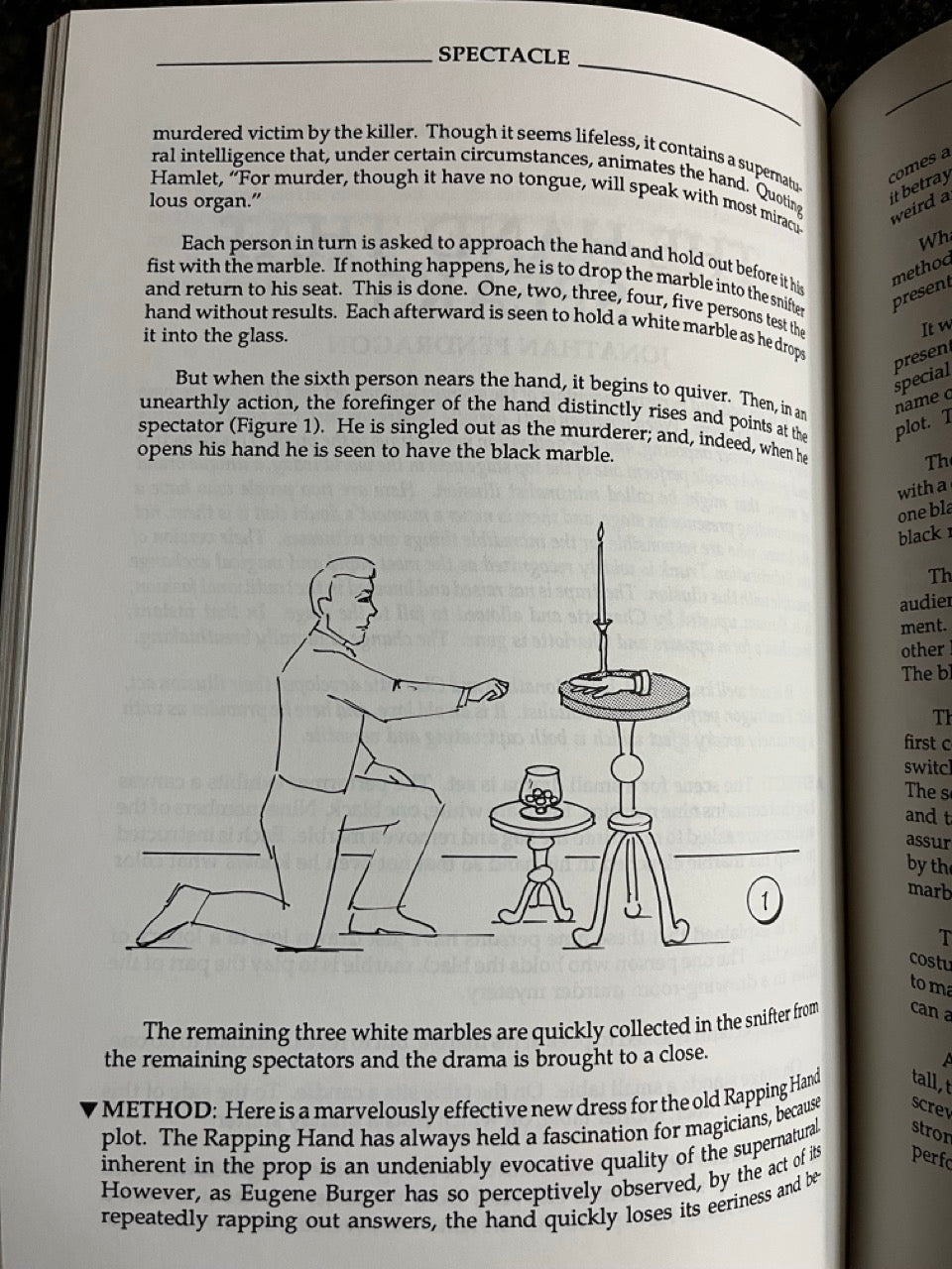 Spectacle - Stephen Minch