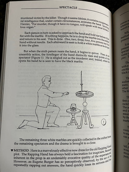 Spectacle - Stephen Minch