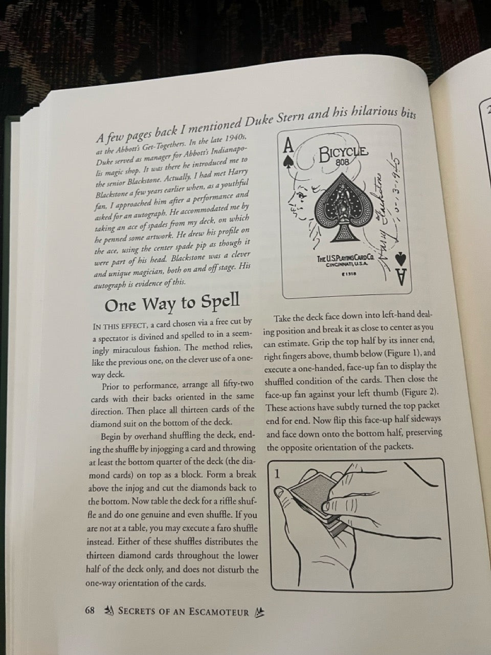 2 Harry Riser Titles (Secrets...Escamoteur, Feints & Temps...)