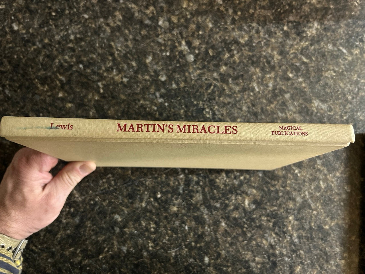 Martin's Miracles - Eric C. Lewis